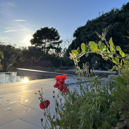 Le Mas Golie Le Castellet  Exterior photo