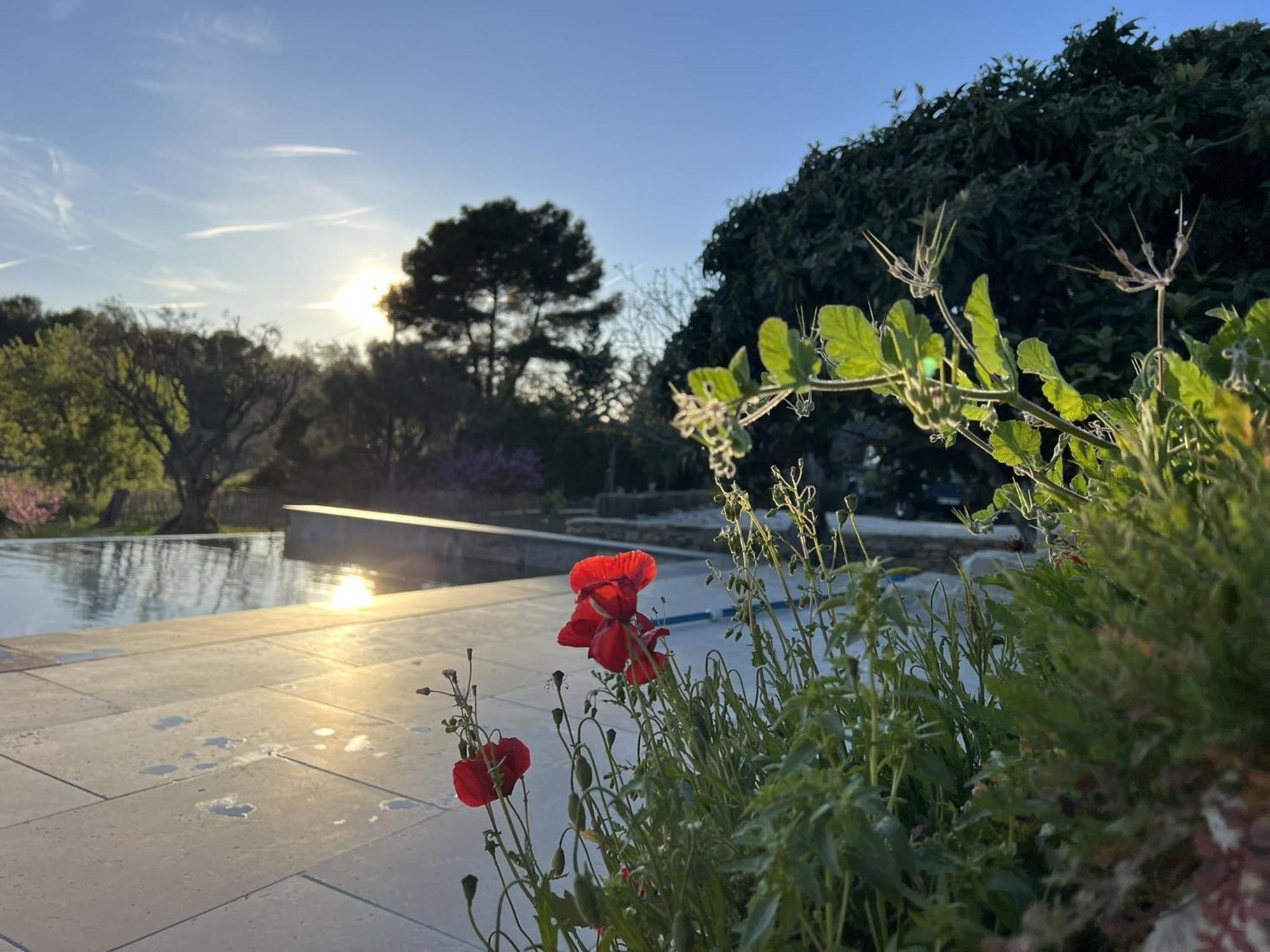 Le Mas Golie Le Castellet  Exterior photo