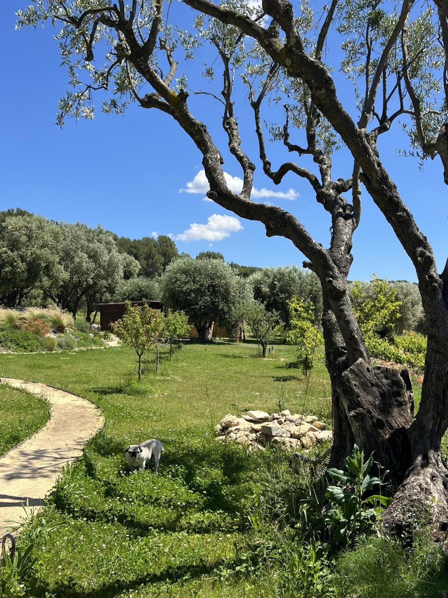 Le Mas Golie Le Castellet  Exterior photo